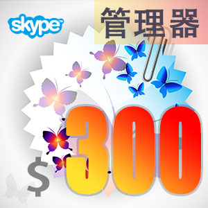 点击购买skype管理器300美元充值卡