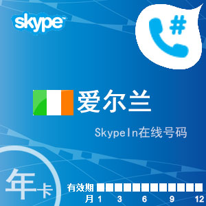 skypein在线号码爱尔兰年卡